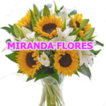 ARRANJOS-DE-ROSAS.10.png