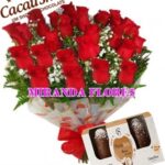 FLORICULTURA-CACAU.jpg