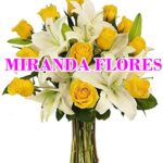 miranda-flores-800.jpg